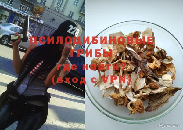 прущие крисы Кулебаки