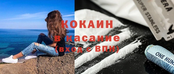 индика Алексеевка