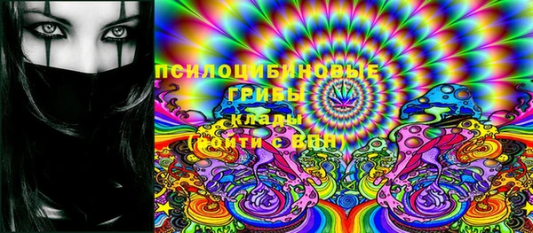 прущие крисы Кулебаки