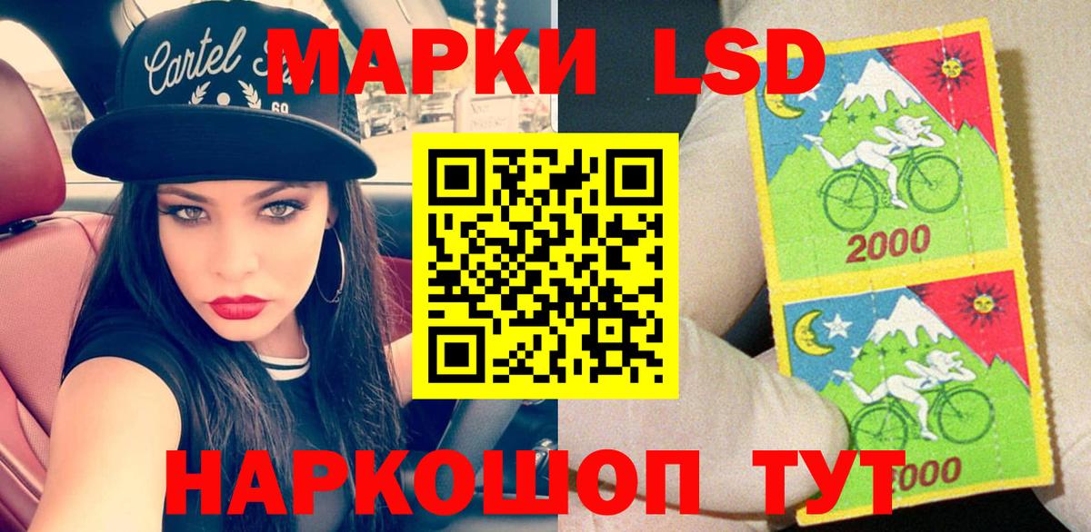 Марки N-bome  Марки N-bome 1,8мг  Лесной  Марки N-bome 1,8мг 