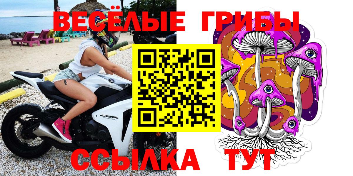 Галлюциногенные грибы мухоморы  Вход с VPN  Лесной 
